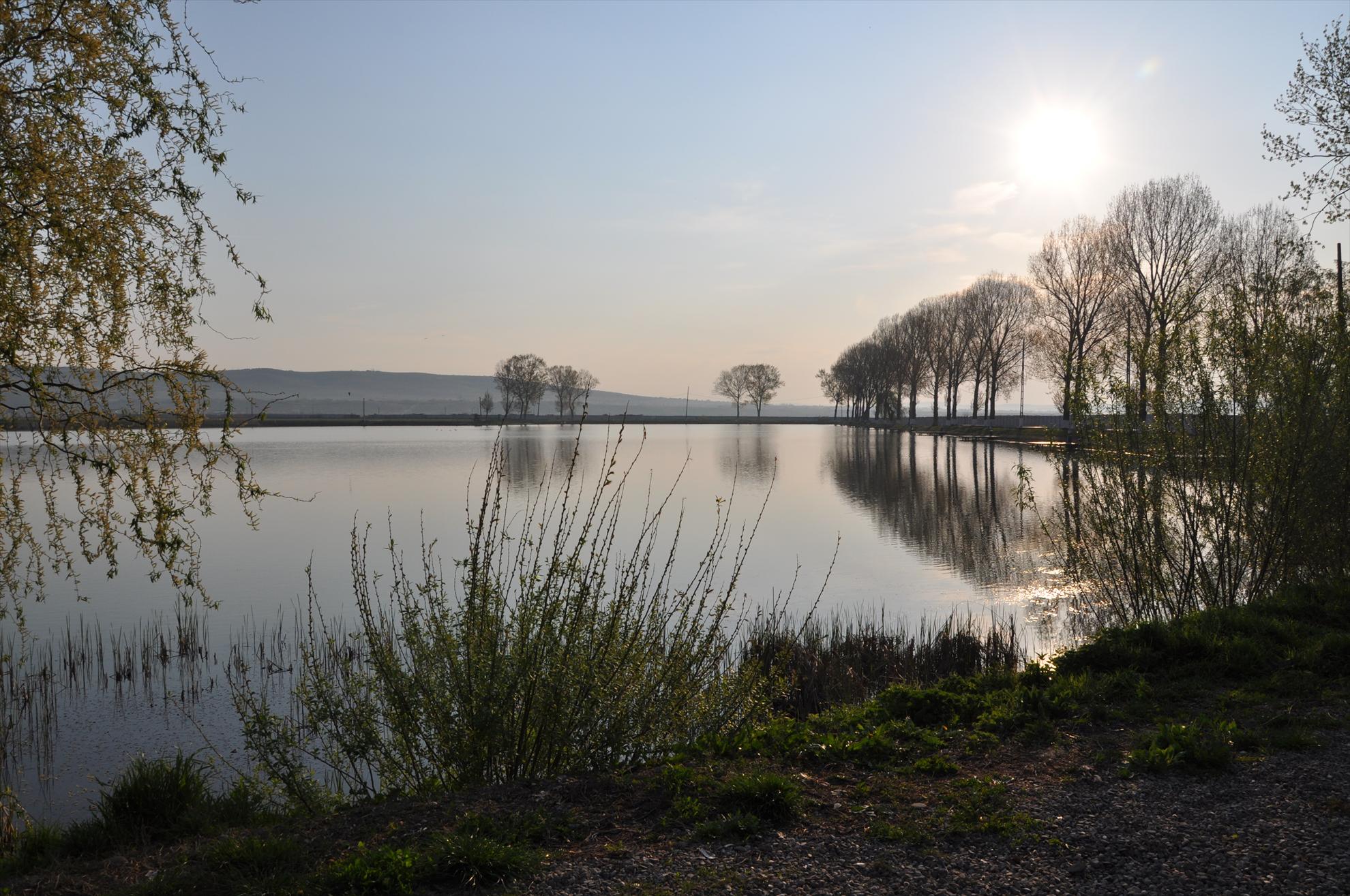 GALERIE FOTO TROFEUL USAMV - PLEASA - dsc0464.JPG